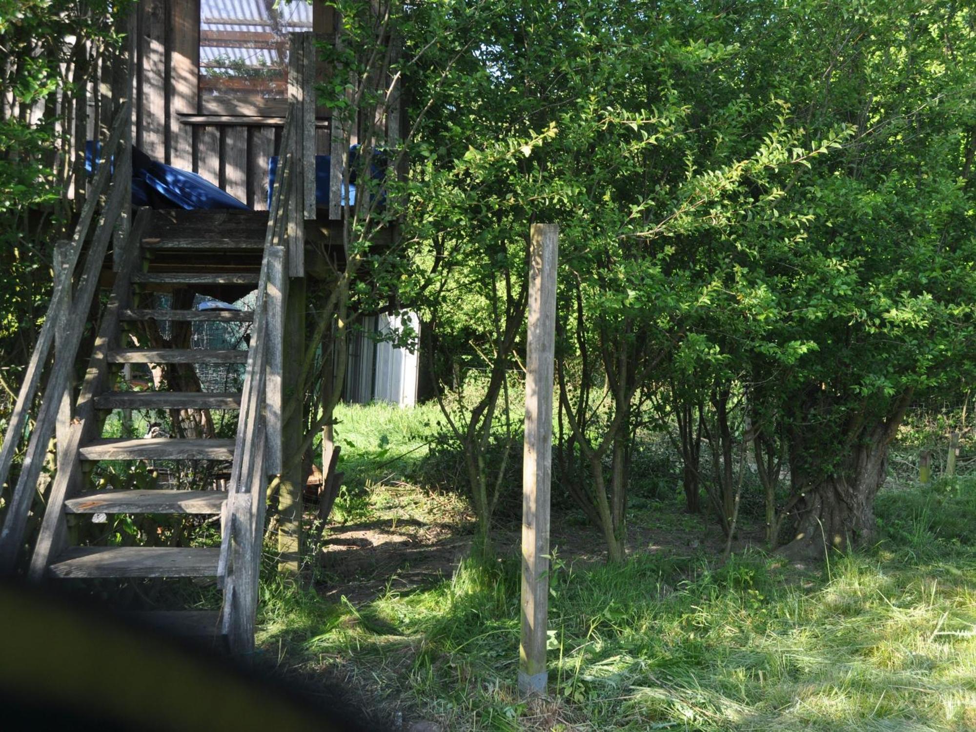 Ferienwohnung Kleiner Und Grosser Stern Stoltebüll エクステリア 写真