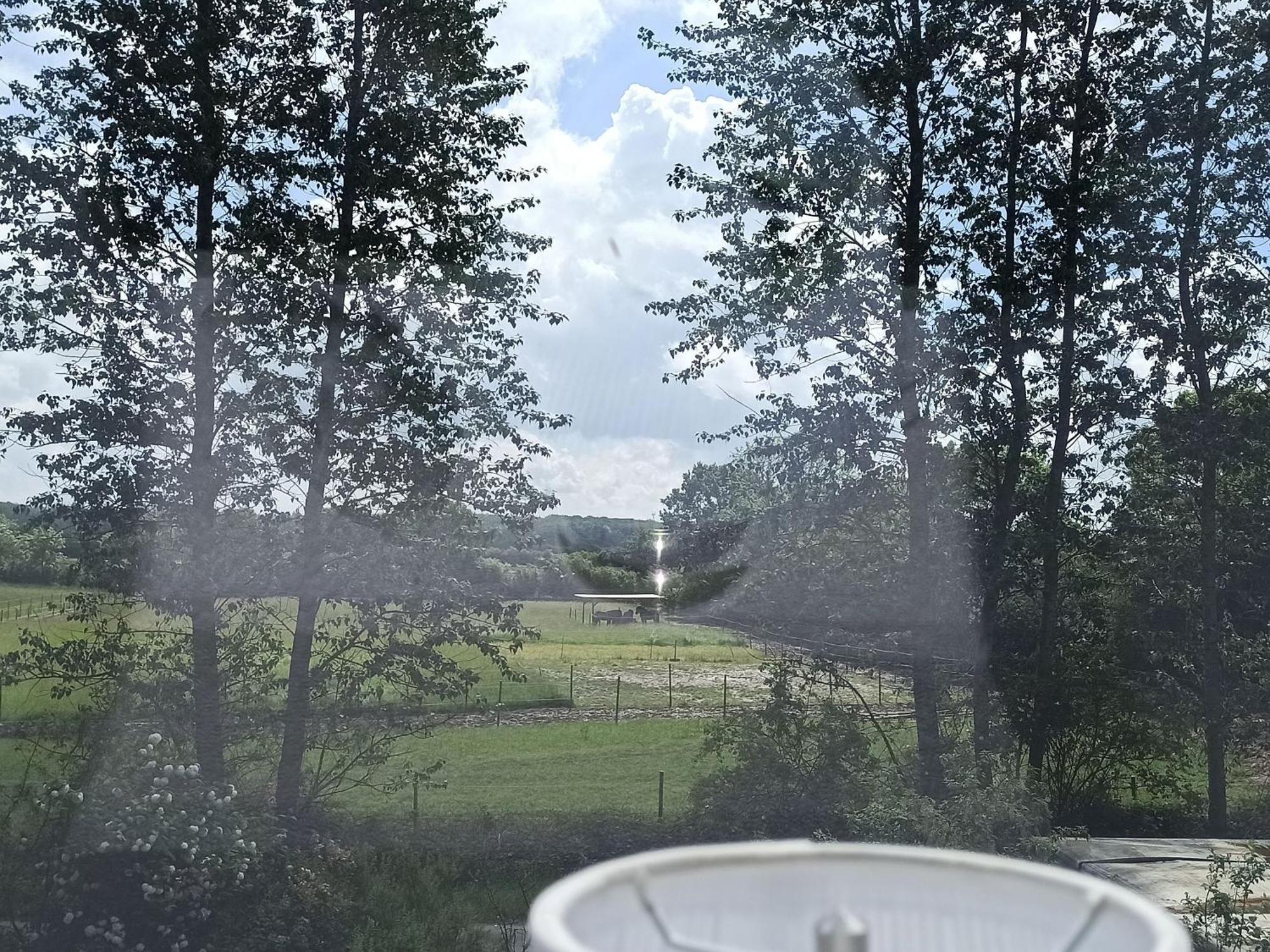 Ferienwohnung Kleiner Und Grosser Stern Stoltebüll エクステリア 写真